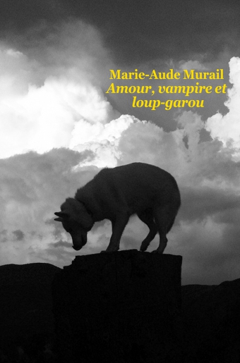 Marianne Mille Pourquoi Est il Parti Tout Le Temps Quil Faudra Quelque Part Il Y A Quelquun Te Voil Marianne Mille Pourquoi Est il Parti Tout Le Temps Quil Faudra Quelque Part Il Y A Quelquun Te Voil