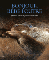 Bonjour bébé loutre