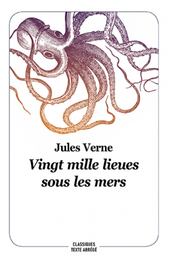 Vingt mille lieues sous les mers - Jules Verne