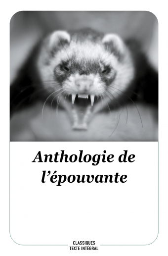 Anthologie de l'épouvante -  Collectif