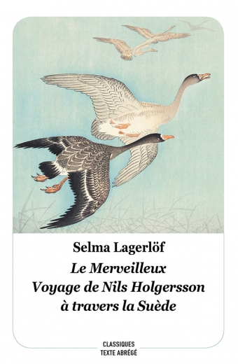 Le merveilleux voyage de Nils Holgersson à travers la Suède - Selma Lagerlöf